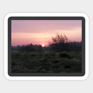 Pink Sunset In The Danish Countryside Sticker